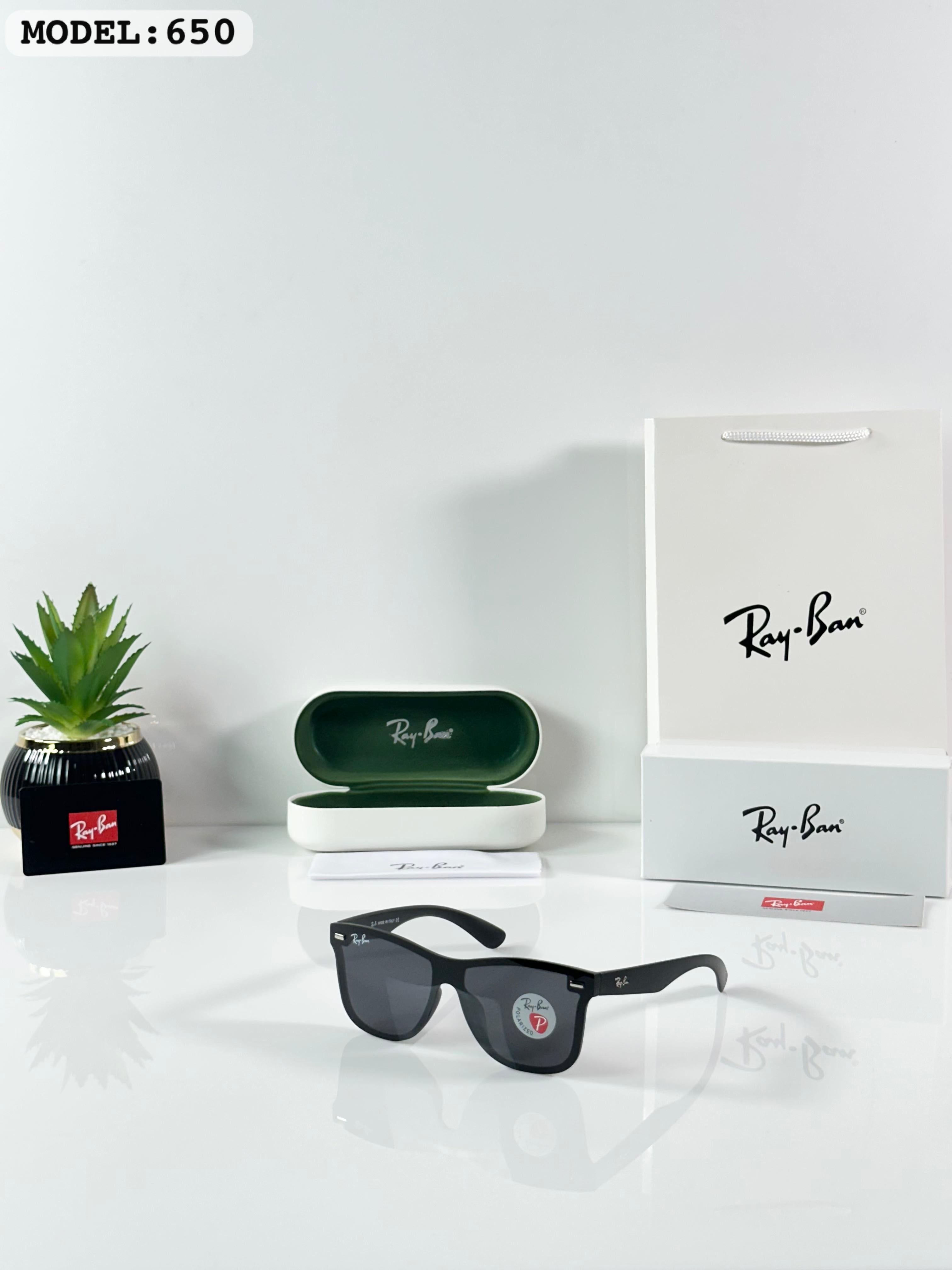 RAYB_AN 04 GREY FRAME